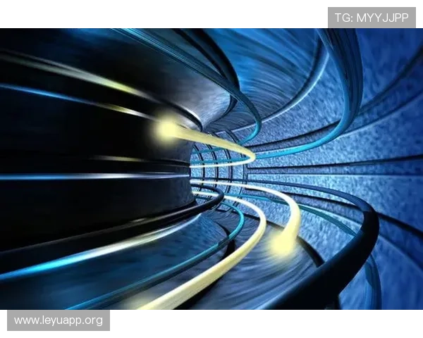 乐鱼网页版用户体验优化措施提升网站性能与访问速度的实用技巧